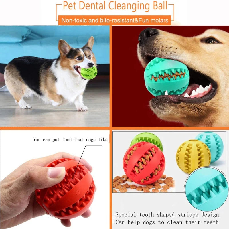 Rubber Treat Feeder & Teeth Cleaning Puzzle