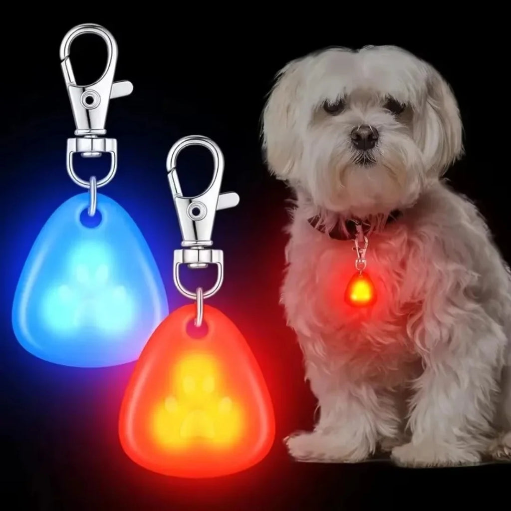 Pet Pendant Collar