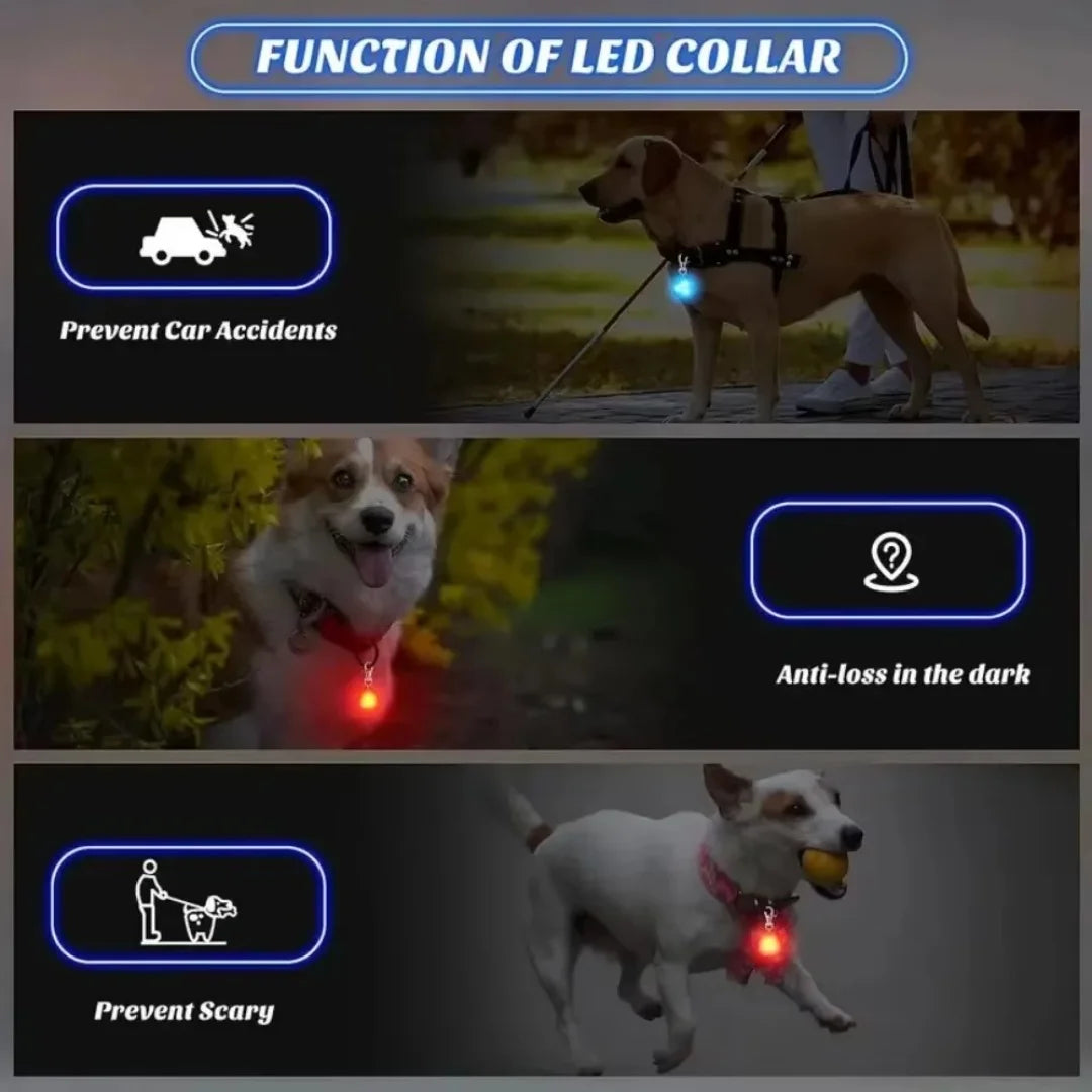 Pet Pendant Collar
